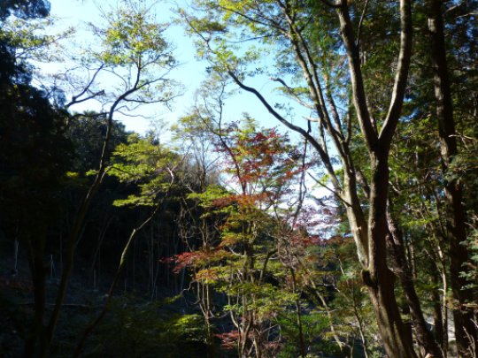 画像24